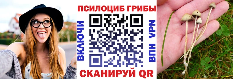 Галлюциногенные грибы Magic Shrooms  Новоаннинский 